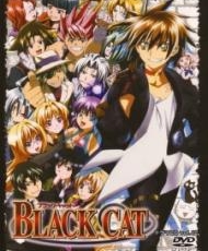 Black Cat 2005-2006
