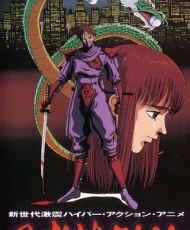 Ninja Ryuukenden 1991